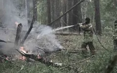 Насколько выросли зарплаты лесников после трагедии в Семей Орманы
