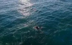 В Атырауской области нашли тело утонувшего рыбака