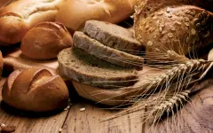 Колледжам в Казахстане официально разрешат продавать свою продукцию