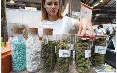 Ярмарка каннабиса проходит в Германии