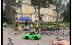 «Это чистый садизм»: алматинцы возмутились поведением детей в парке 28 гвардейцев-панфиловцев