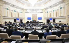Систематизировать госпрограммы поддержки бизнеса с помощью ИИ предложил спикер Сената